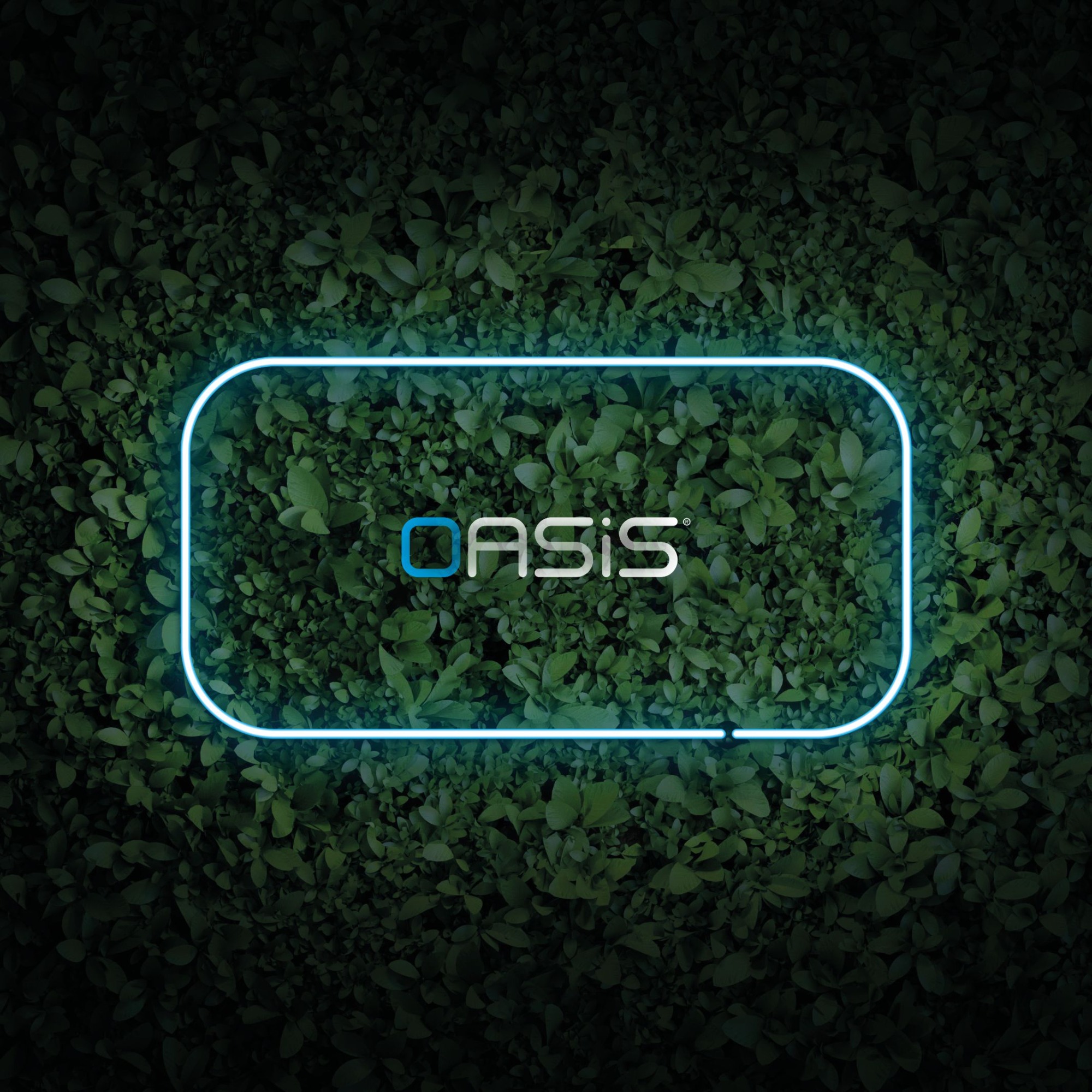 Csatlakozz hozzánk az OASIS® világpremierjén 