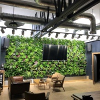 Indoor-PlantBox-Living-Wall-Chichester-550x550